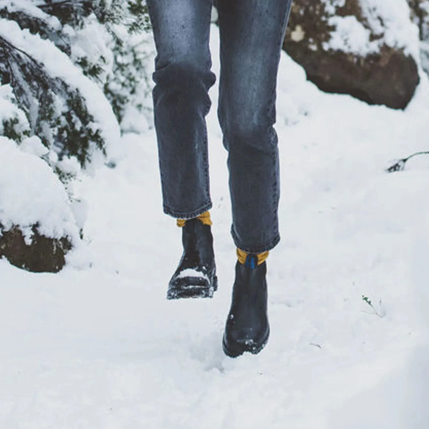 Blundstone 566 - Winter Thermal - Black